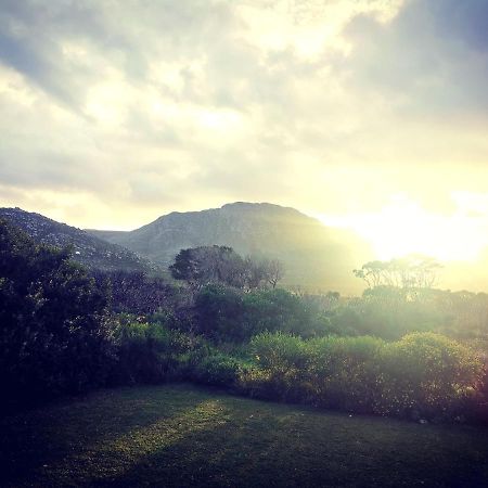 The Crowded House Villa Pringle Bay Exteriör bild