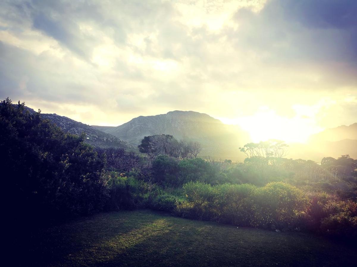 The Crowded House Villa Pringle Bay Exteriör bild