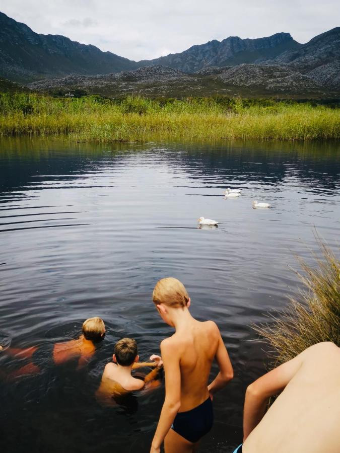 The Crowded House Villa Pringle Bay Exteriör bild