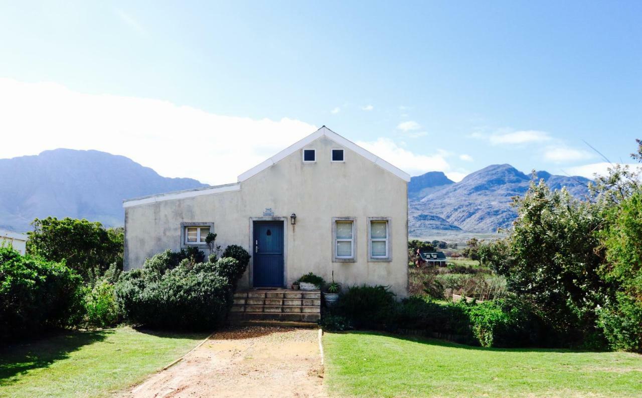 The Crowded House Villa Pringle Bay Exteriör bild